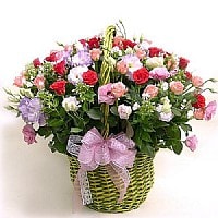 סלסלה בכפר סלסלה בכפר